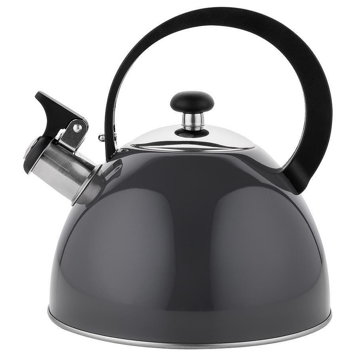 Чайник от неръждаема стомана със свирка FLORINA Capri Brillo, 2.5 L, Сив