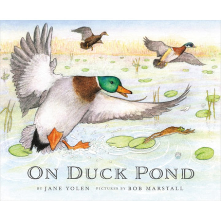 On Duck Pond de Jane Yolen