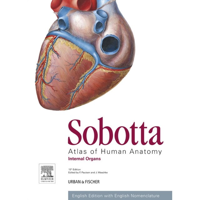 Sobotta Atlas of Human Anatomy, Vol. 2, 15th ed., English de Friedrich Paulsen