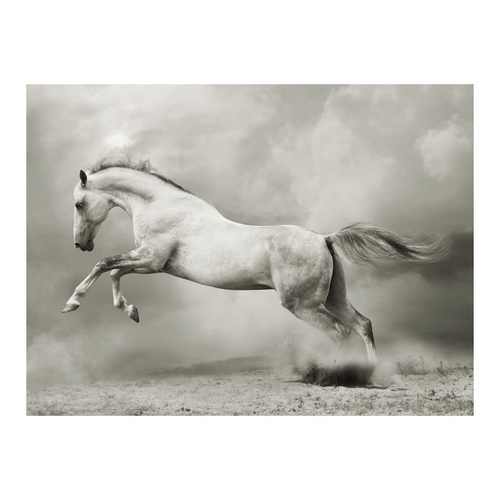 Nem szőtt tapéta nappaliba, hálószobába, vadon élő ménbe - 200 cm X 154 cm, Használati útmutató, ragasztó