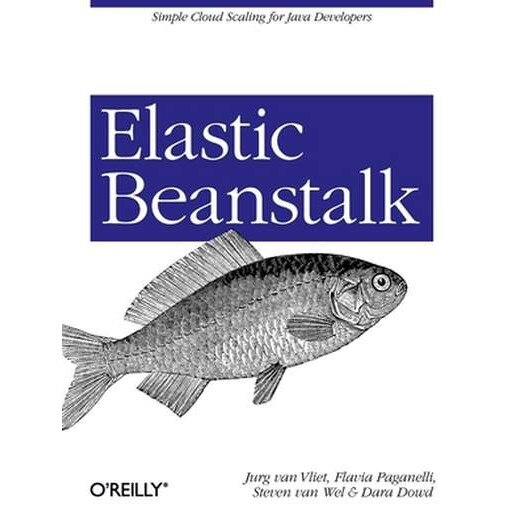 Elastic Beanstalk de Jurg Van Vliet