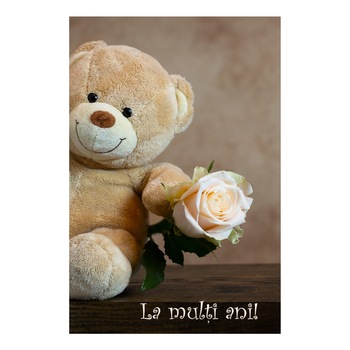 Felicitare cu plic,  Felicitare cu plic,