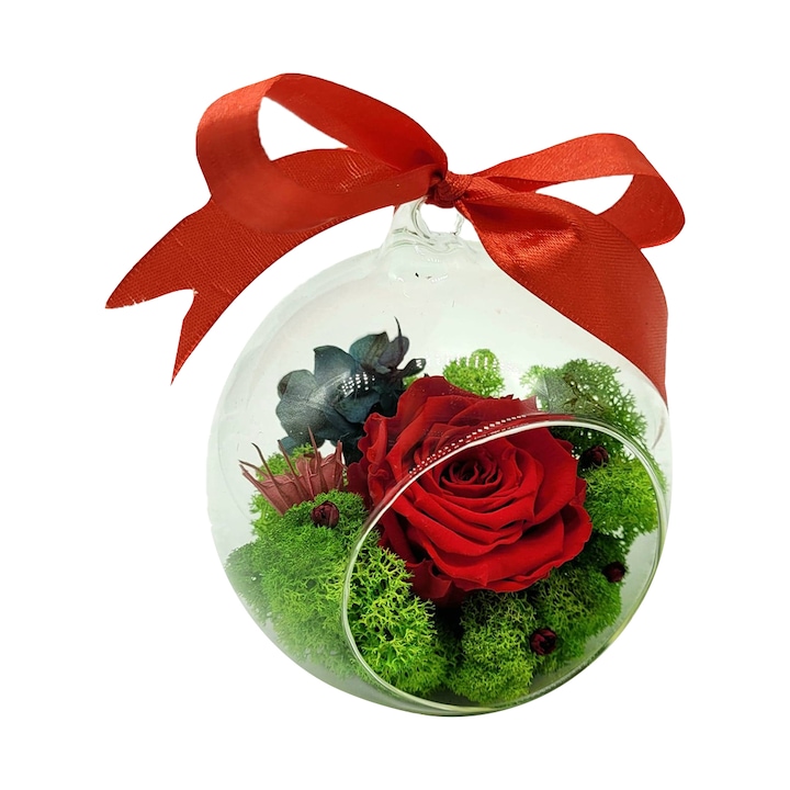 Glob de sticla cu licheni si trandafir criogenat rosu,12cm, Crioflora