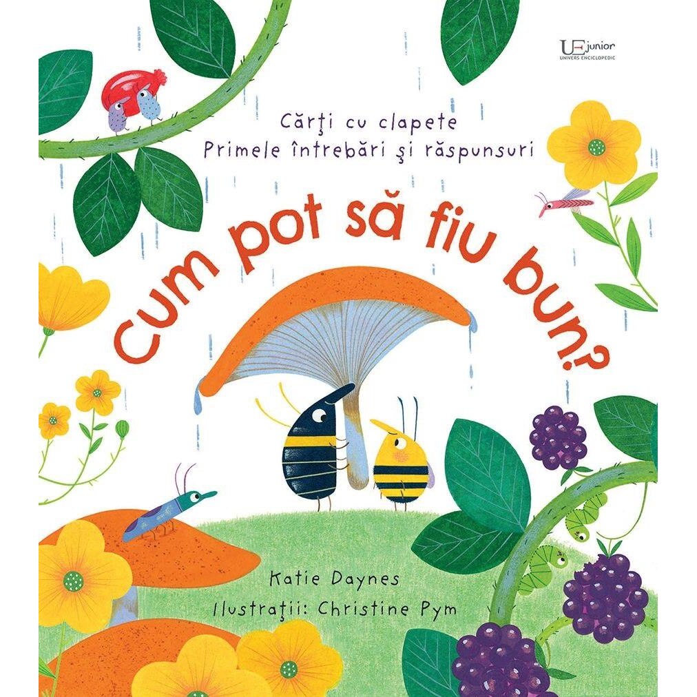 Cum pot sa fiu bun? (Usborne), Usborne Books
