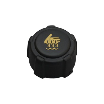 Buson vas expansiune Dacia Logan , Sandero , Dokker , Lodgy , Renault Meganr II , Clio , Thalia , Scenic Buson vas expansiune Dacia Logan , Sandero , Dokker , Lodgy , Renault Meganr II , Clio , Thalia , Scenic