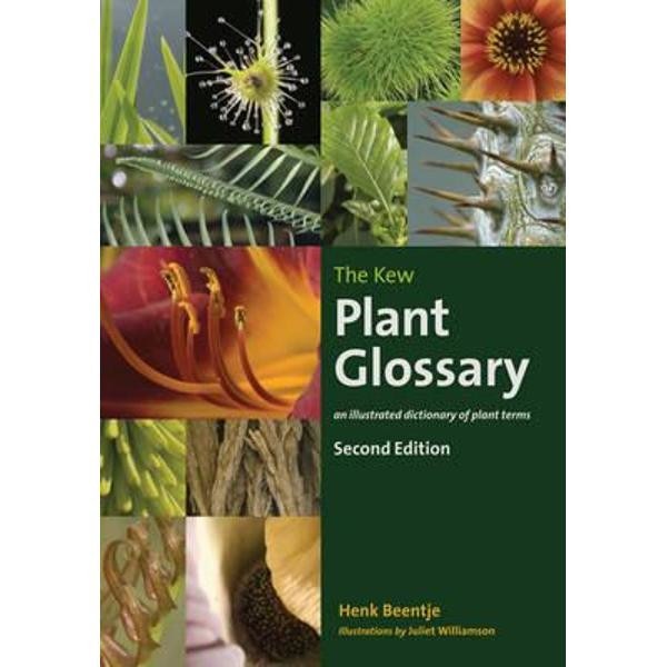 Kew Plant Glossary
