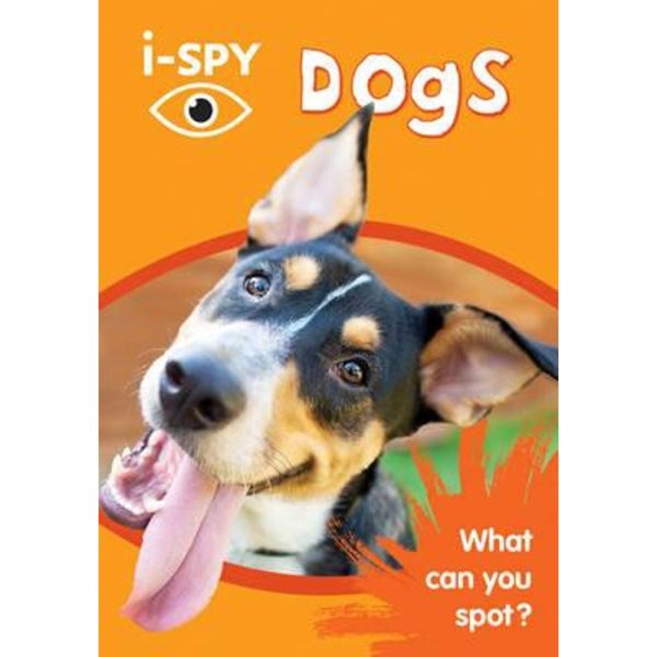 i-Spy Dogs: What Can You Spot?