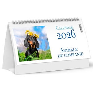 Agende si calendare