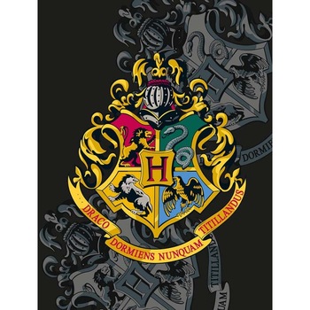 Patura Polar Harry Potter Hogwarts Logo V2 , 130 x 170 cm, Negru Patura Polar Harry Potter Hogwarts Logo V2 , 130 x 170 cm, Negru
