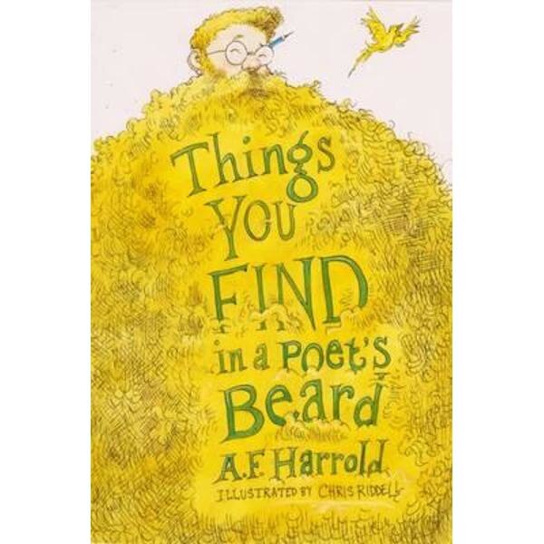 Things You Find in a Poet's Beard
