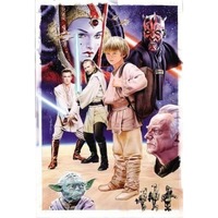 Cauți Star Wars Episode I The Phantom Menace Star Wars Episodul I Amenintarea Fantomei Alege Din Oferta Emag Ro