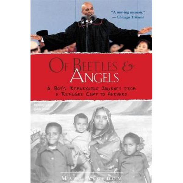 Of Beetles and Angels