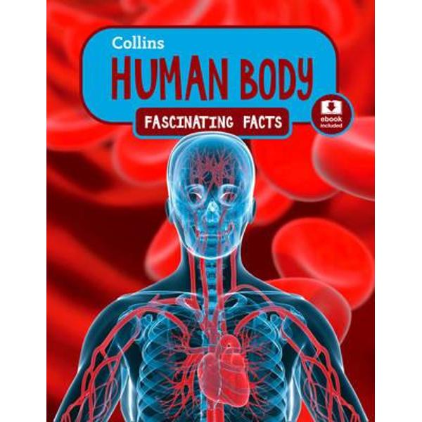Human Body