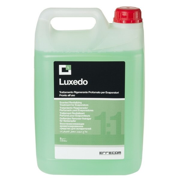 Solutie revitalizare evaporatoare aer conditionat auto 5 litri