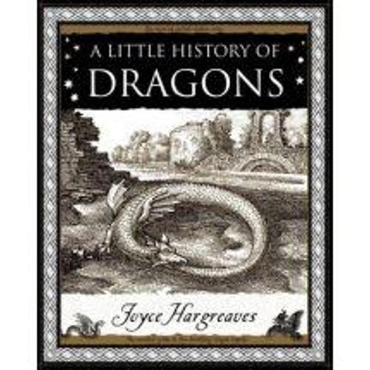 Little History of Dragons
