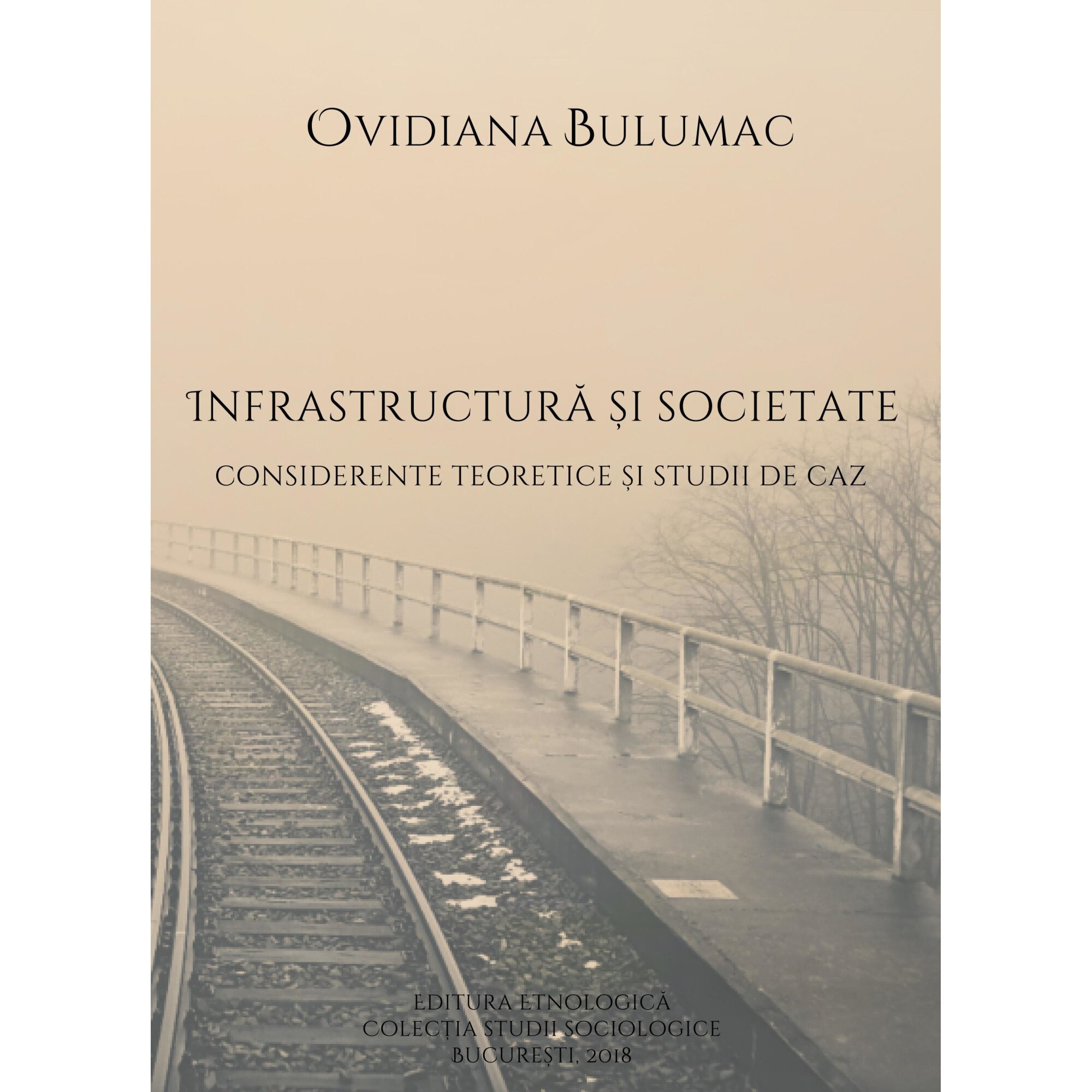 Infrastructura si societate. Considerente teoretice si studii de caz, Ovidiana Bulumac