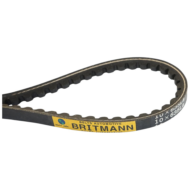 Curea pompa vacuum ARO 10X635