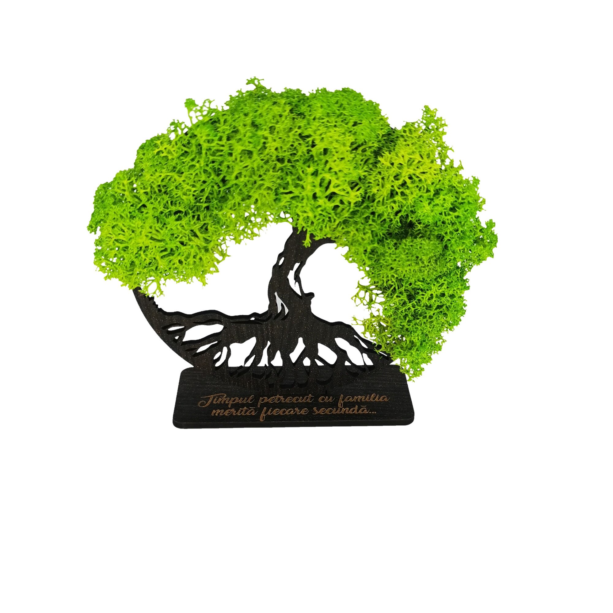 Decoratiune Copacul vietii cu licheni verzi, cu suport gravat cu mesaj 