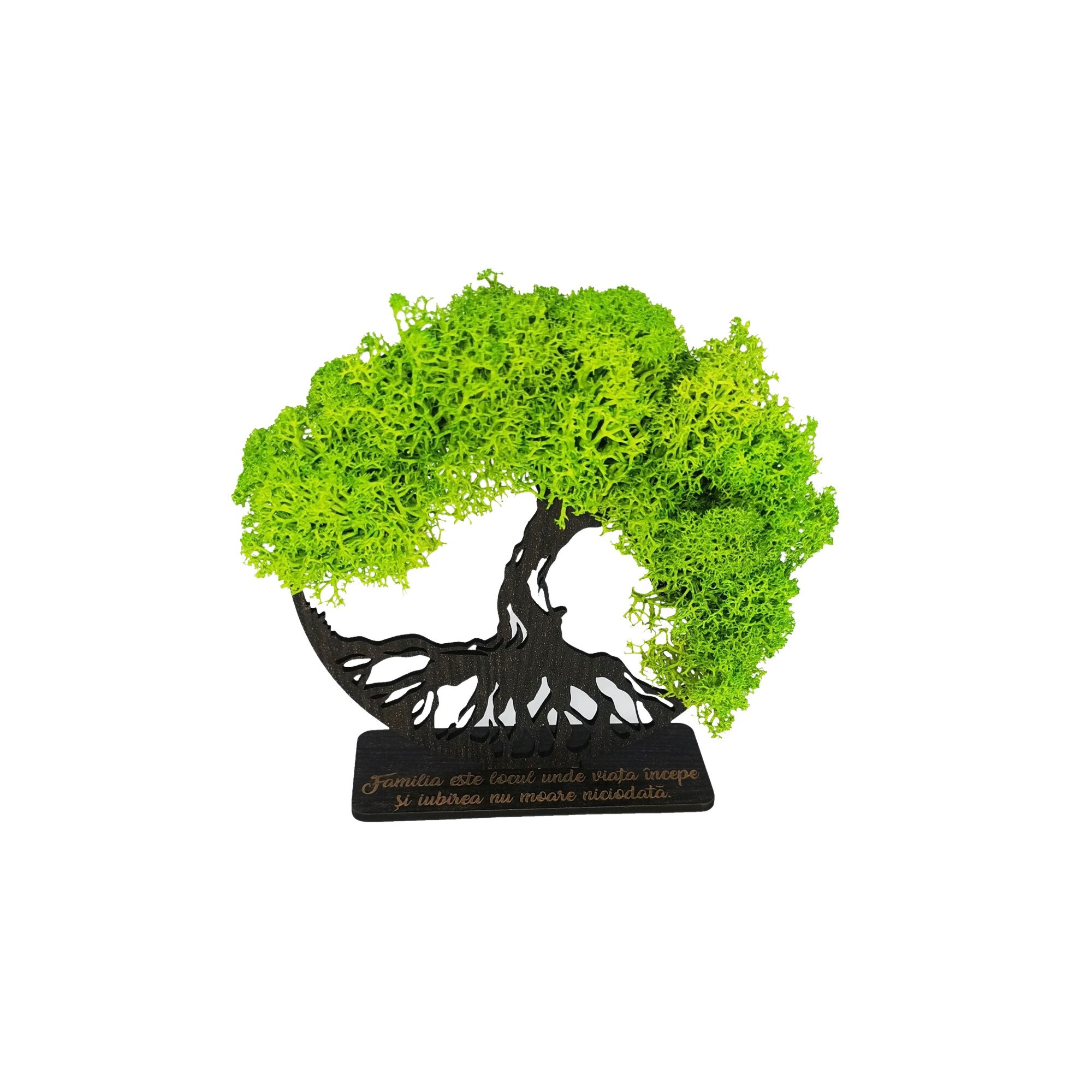 Decoratiune Copacul vietii cu licheni verzi, cu suport gravat cu mesaj 