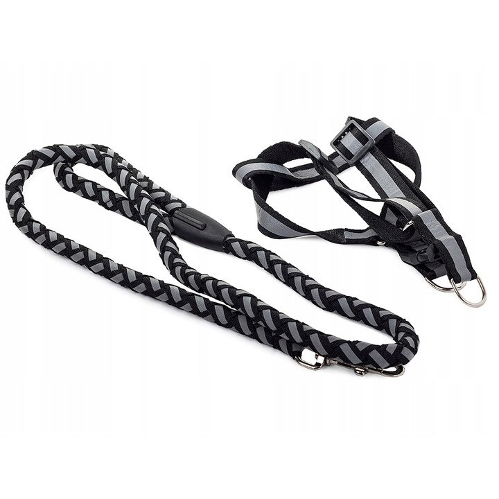 Set lesa si ham pentru caini, Zola®, negru cu forsforescent, 106x1.2 cm