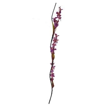 Set 5 plante artificiale din plastic si lemn, Naimeed D3040, culoare Mov, 150 x 10 cm Set 5 plante artificiale din plastic si lemn, Naimeed D3040, culoare Mov, 150 x 10 cm