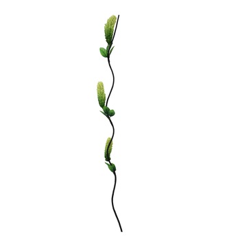 Set 5 plante artificiale din plastic si lemn, Naimeed D3030, culoare Verde, 150 x 6 cm Set 5 plante artificiale din plastic si lemn, Naimeed D3030, culoare Verde, 150 x 6 cm
