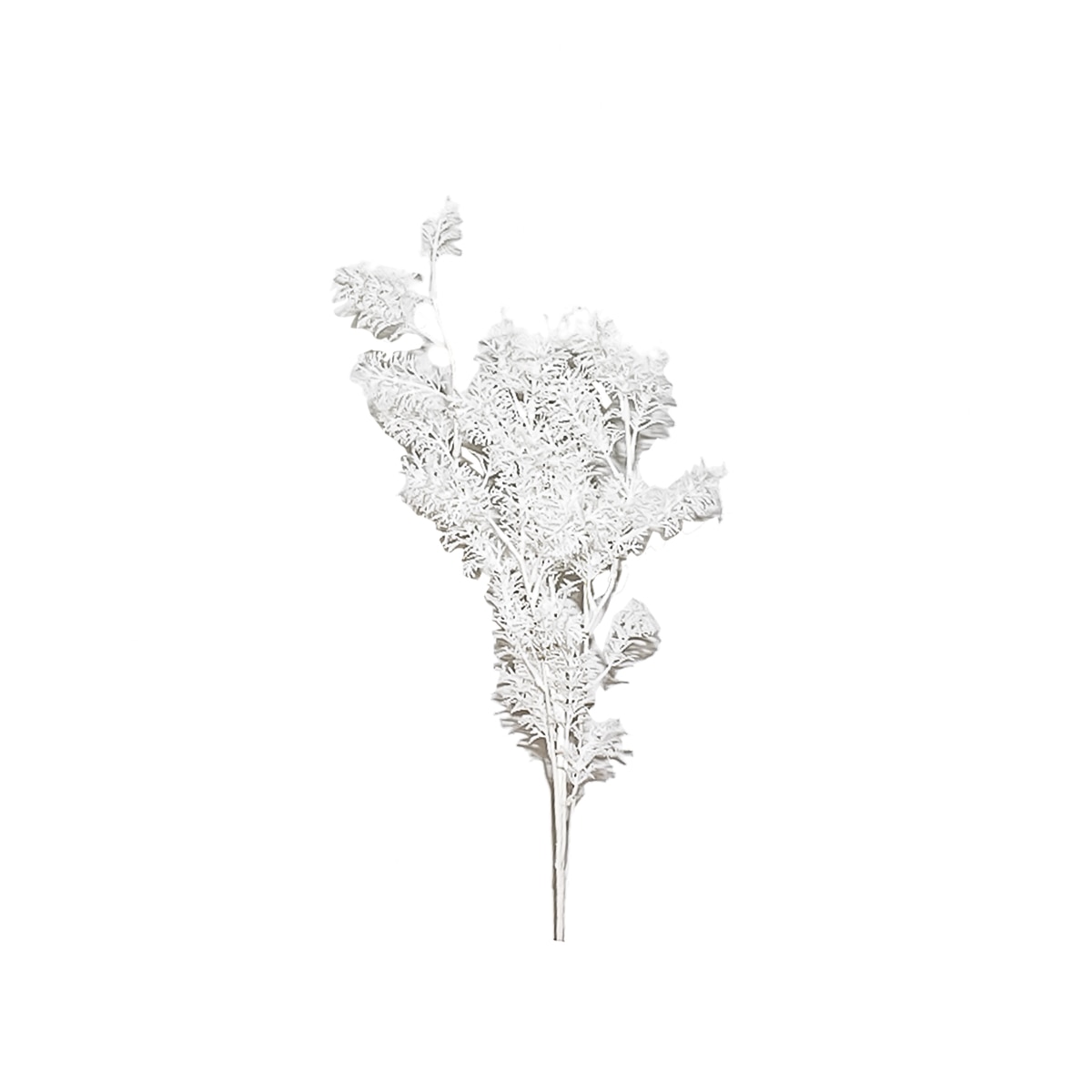 Planta artificiala cu 5 fire, Naimeed D3114, culoare Alb, 90 x 18 cm