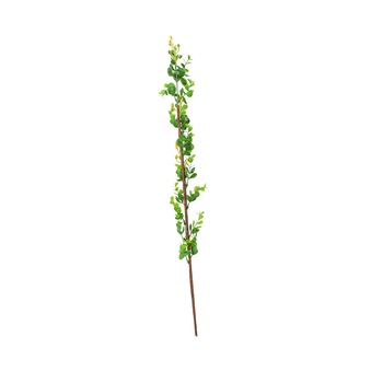 Set 5 plante artificiale din plastic si lemn, Naimeed D3014, culoare Verde / Galben, 99 x 7 cm Set 5 plante artificiale din plastic si lemn, Naimeed D3014, culoare Verde / Galben, 99 x 7 cm