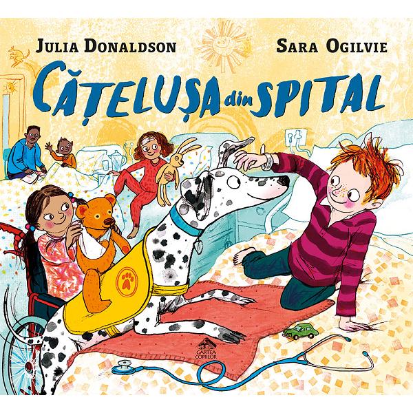 Catelusa din spital - Julia Donaldson, Sara Ogilvie