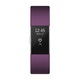 Bratara fitness Fitbit Charge 2, Plum Silver, Large