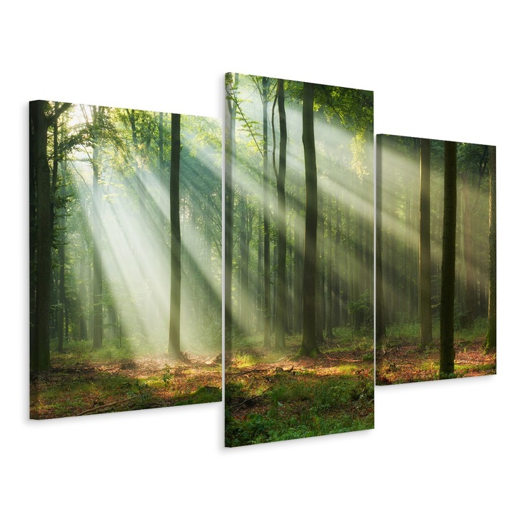 Set Tablou 3 piese pentru Perete Triptic PADURE Copaci Peisaj 3D 180cm x 120cm Multicanvas, Panza pe cadru de lemn, Decoratiuni Moderne pentru Casa