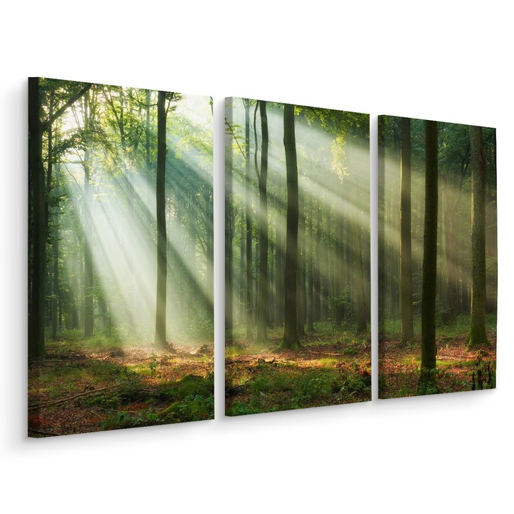 Set Tablou 3 Piese PEISAJ DE PADURE Natura 3D 60cm x 40cm Soare, Multicanvas, Panza pe cadru de lemn, Decoratiuni Moderne pentru Casa