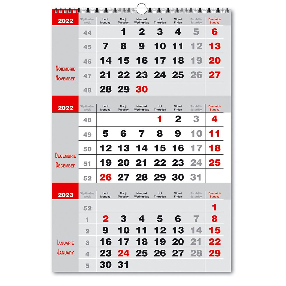 Calendar de Perete 2022 Triptic 2 culori, pe fond gri, 33x48cm, spira metalica dubla