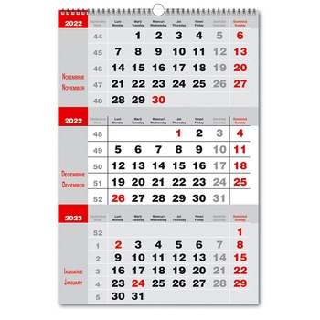 Calendar de Perete 2022 Triptic 2 culori, pe fond gri, 33x48cm, spira metalica dubla Calendar de Perete 2022 Triptic 2 culori, pe fond gri, 33x48cm, spira metalica dubla