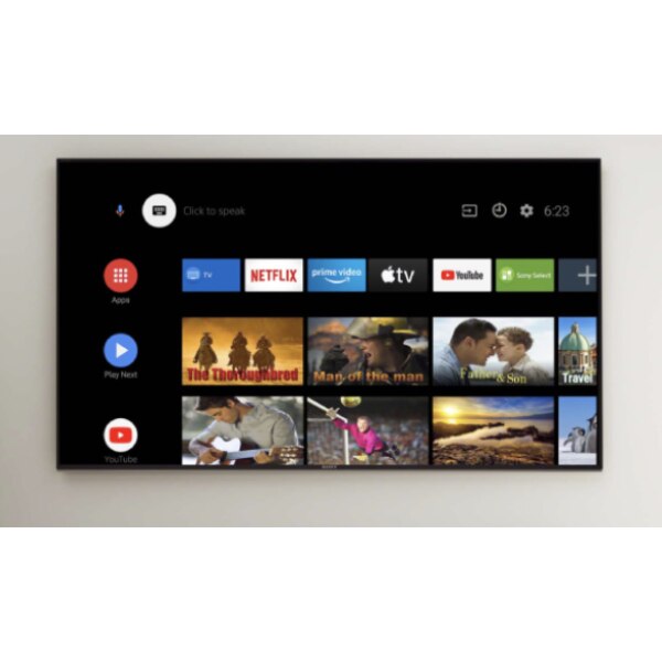 Display profesional Sony Bravia FWD-65X81H/T1, 65 inch, 4K Ultra HD, HDR, cu tuner TV