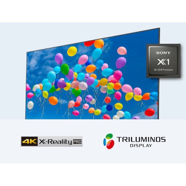 Display profesional Sony Bravia FWD-65X81H/T1, 65 inch, 4K Ultra HD, HDR, cu tuner TV