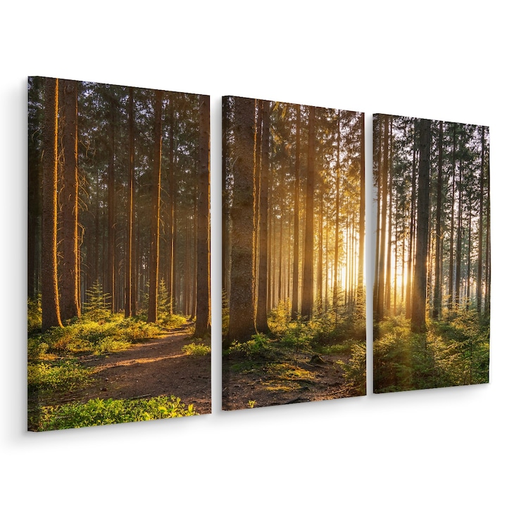 Tablou APUS INTR-O PADURE 3D Triptic 60cm x 40cm Peisaj, Creative decor, Design modern, Decoratiuni Moderne pentru Casa