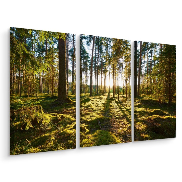 Set Tablou 3 Piese TRIPTIC Padure Copaci Soare Natura 180cm x 120cm Peisaj, Efect 3D, Creative decor, Canvas
