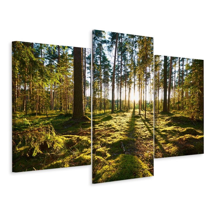 Set Tablou 3 Piese Triptic PEISAJ DE PADURE Soare Decor 150cm x 100cm Efect 3D, Creative decor, Canvas, Modern design, Decoratiuni