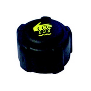 Buson vas expansiune Dacia Super Nova, Solenza, Logan, Logan II, si Dokker 8200048024 Buson vas expansiune Dacia Super Nova, Solenza, Logan, Logan II, si Dokker 8200048024