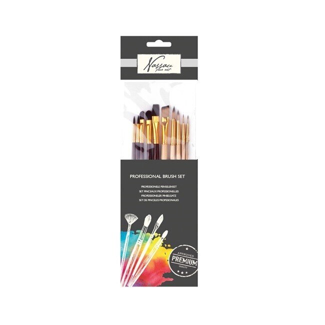 Set 10 pensule profesionale Nassau Fine Art