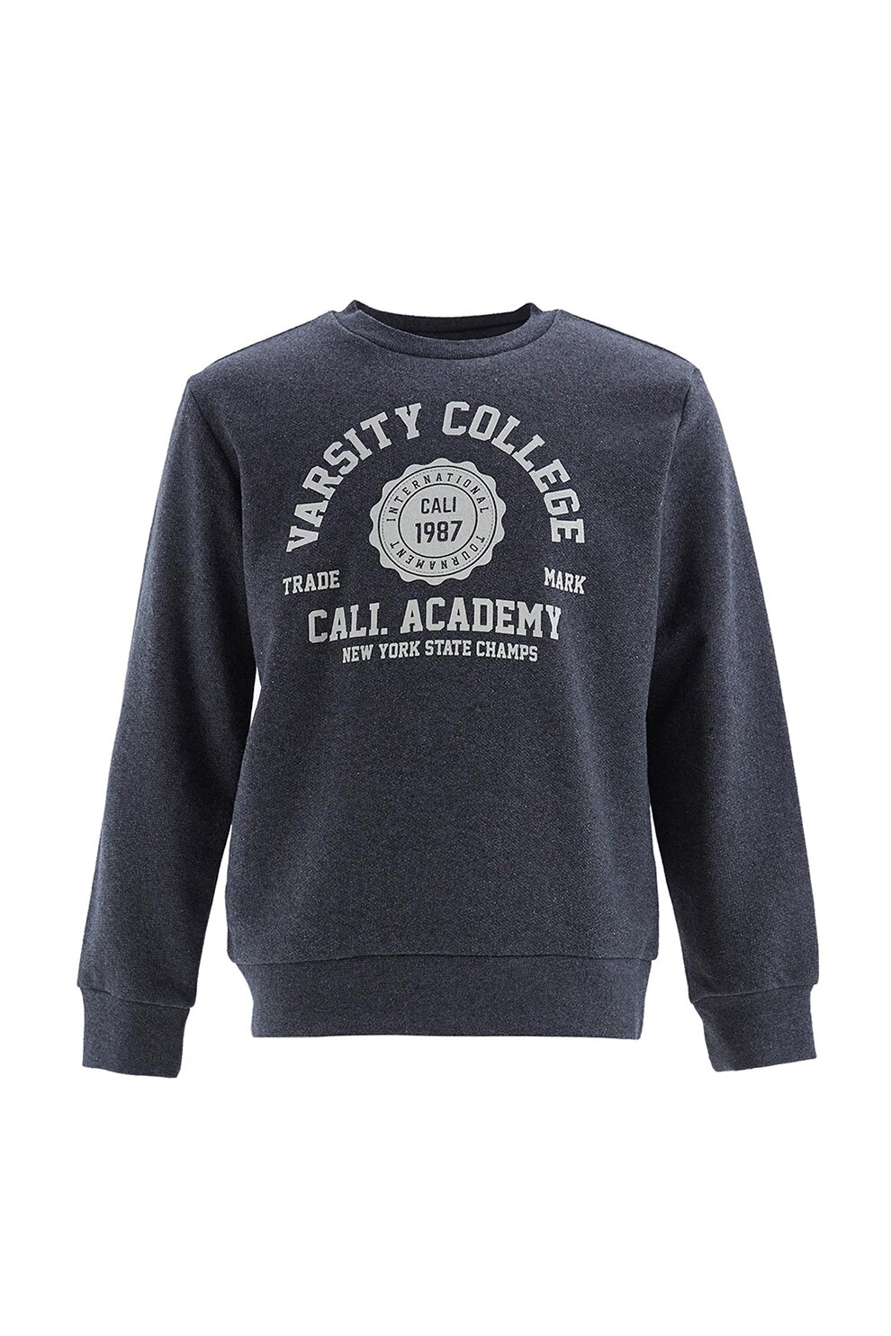 DeFacto, Bluza sport cu decolteu la baza gatului si imprimeu text, Gri carbune