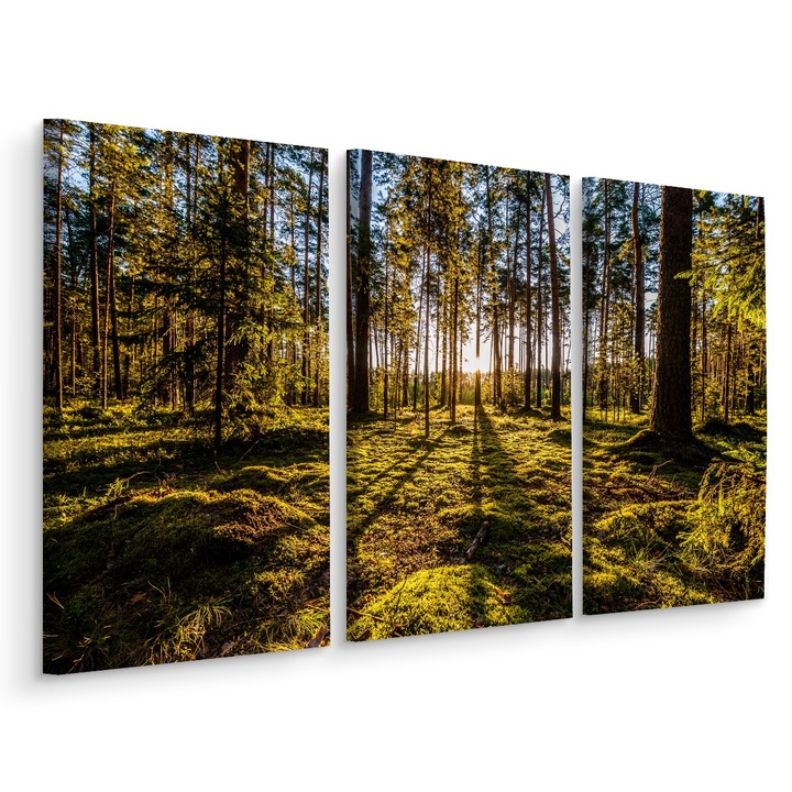 Set Tablou 3 Piese Triptic PADURE Copaci Verde Soare 3D 150cm x 100cm Rama lemn, Multicolor, Creative decor, Canvas