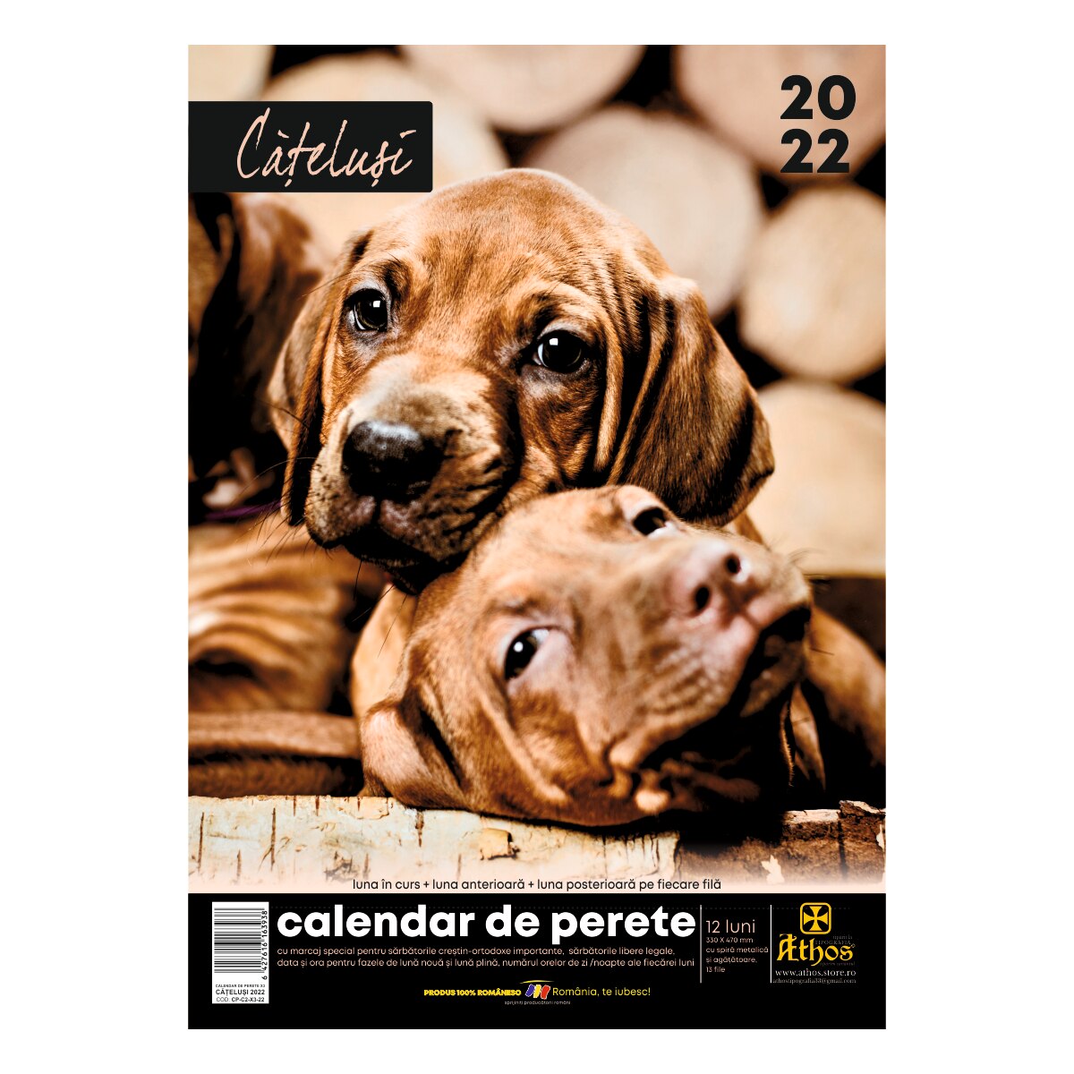 Calendar de perete 2022, Catelusi, 33x47 cm, 13 file