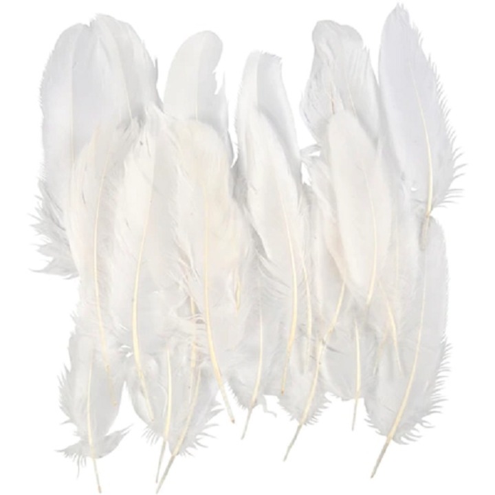 Set pene decorative, 3 g, alb