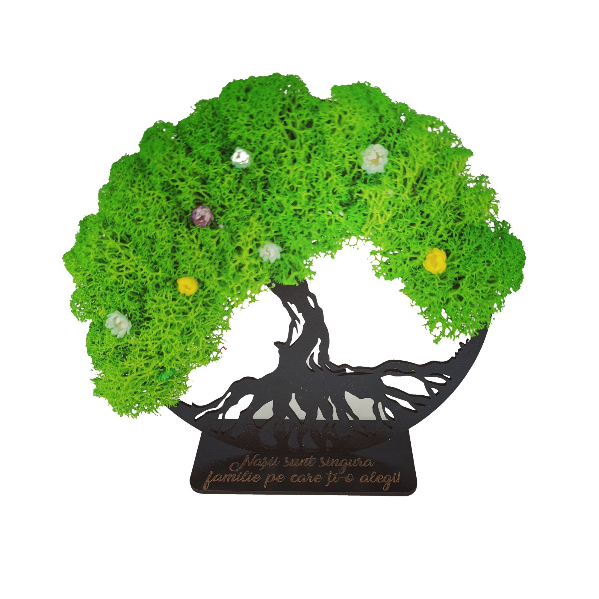 Decoratiune Copacul vietii cu licheni verzi, cu suport gravat cu mesaj 