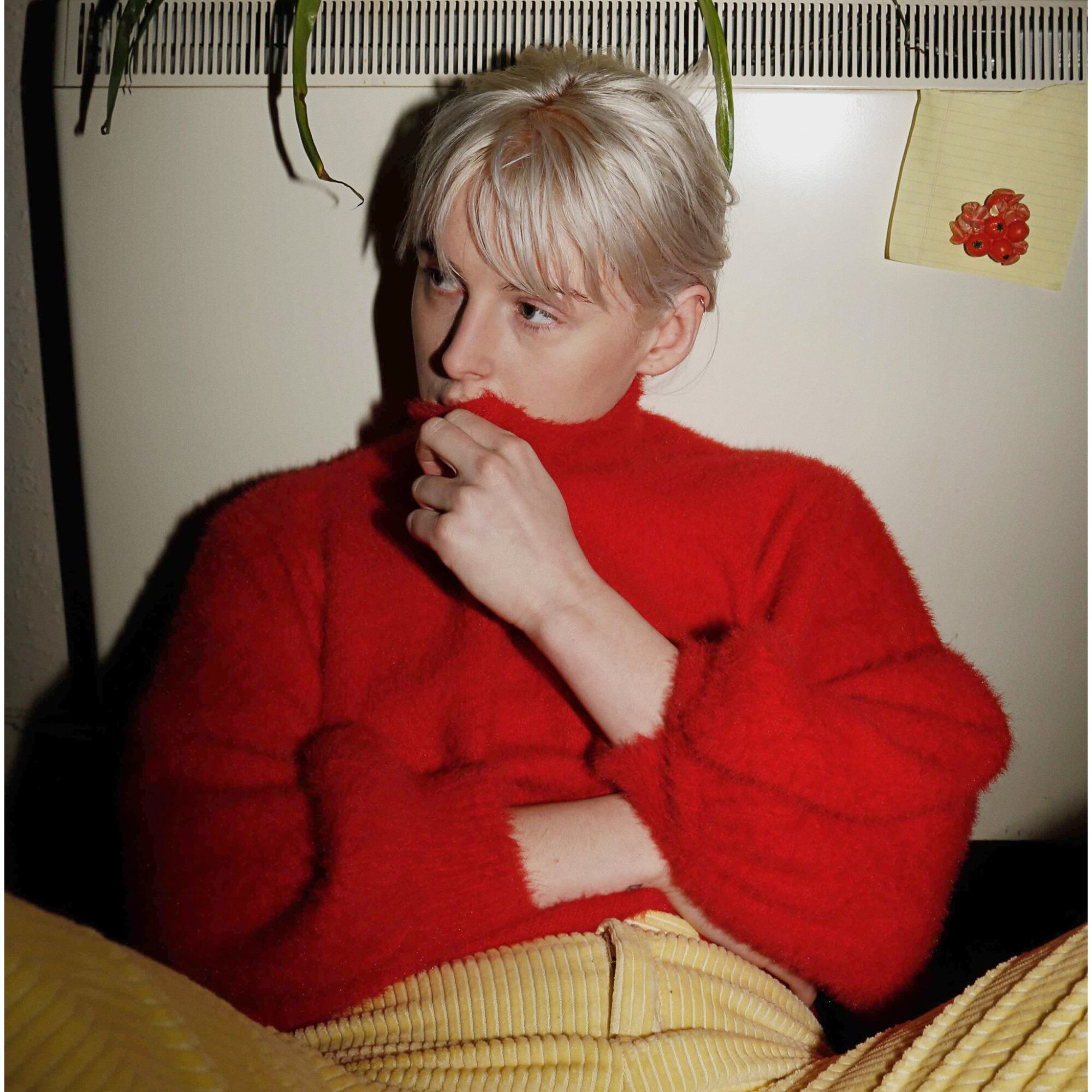 Fenne Lily - Breach (LP)