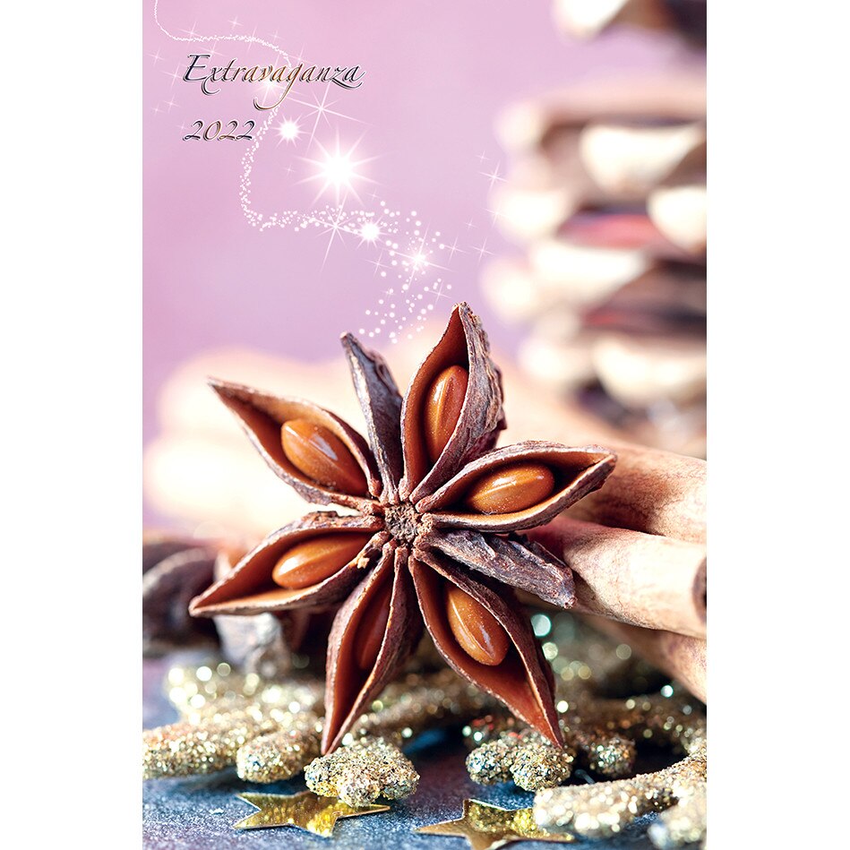 Calendar de Perete 2022, EXTRAVAGANZA, 31,5x48cm, 12 File si Coperta, spira metalica dubla