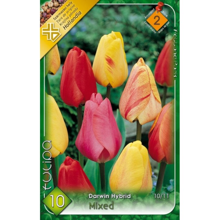 Bulbi Lalele Darwin Mixt HOLLAND PARK 10 bucati