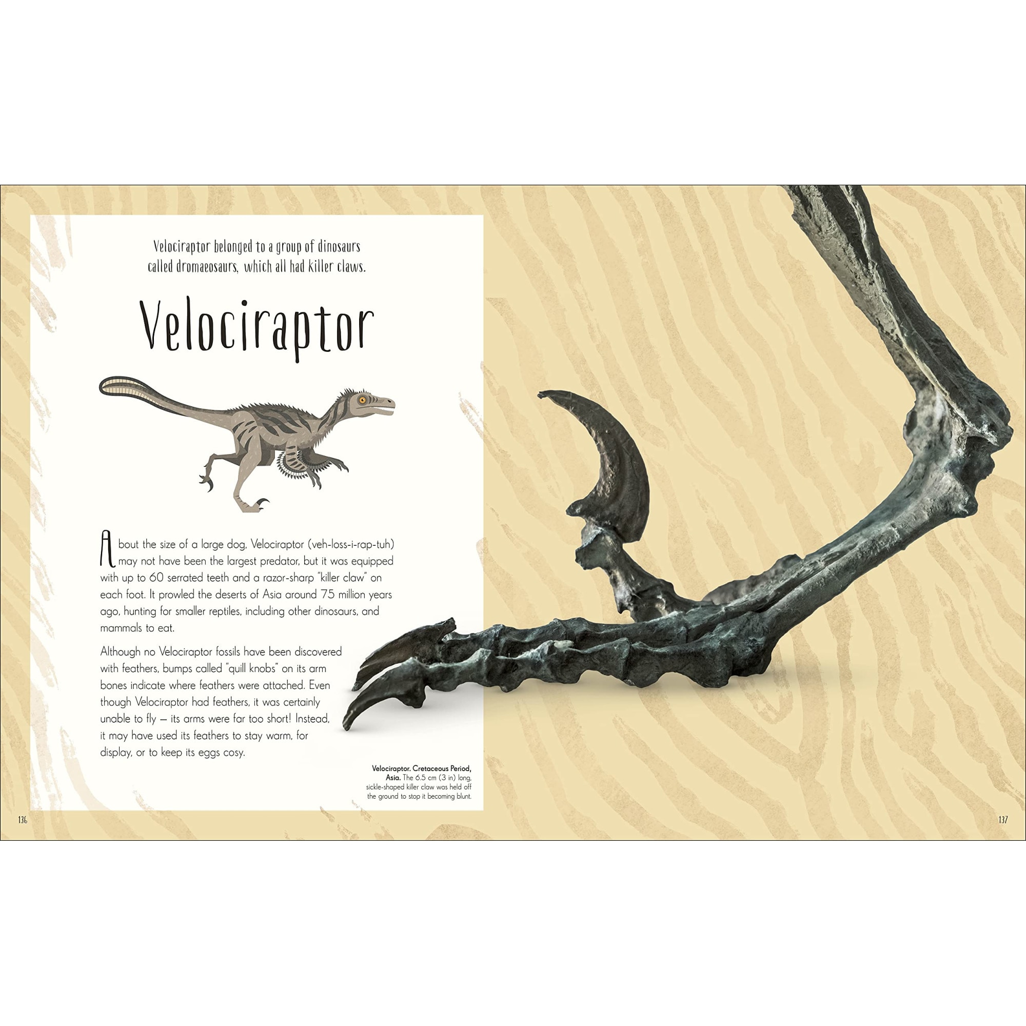 Dinosaurs and Other Prehistoric Life - DK - eMAG.ro